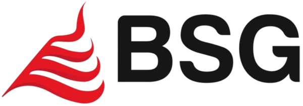 logo bank bsg removebg preview